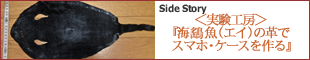 SideStory360：